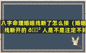 八字命理婚姻线断了怎么接（婚姻线断开的 🌲 人是不是注定不好呢）